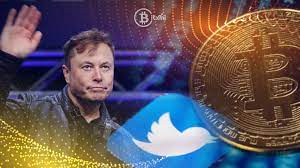 Bitcoin I Bitxmi Exchange In 2021 Bitcoin Cryptocurrency News Elon Musk