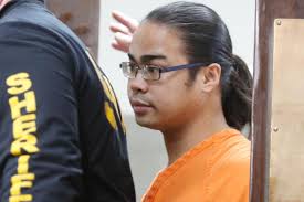 Janesville man, 18, arrested after fleeing from Bremer County Sheriff's  deputy