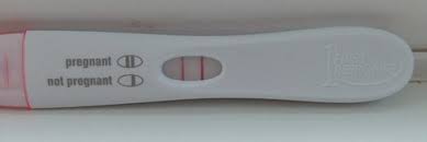 Which Pregnancy Tests Work The Best And The Earliest Wehavekids