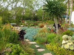 San Diego Horticultural Society Photo Contest In 2020 Landscape Design Garden Photos Landscaping Plants