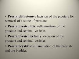 Gamaphobia adalah gamaphobia adalah : In The Name Of God Reproductive System The System Of Organs And Parts Which Function In Reproduction Consisting In The Male Especially Of The Seminal Ppt Download