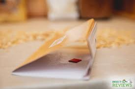 We may get paid if you buy something or take an action after clicking one. Insectcop Reviews Is Safe S Pantry Pest Trap Effective Against Moths