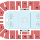 Flint Firebirds vs. Sarnia Sting