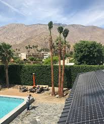 We did not find results for: Mexican Fan Palms For Sale Desert Empire Palms