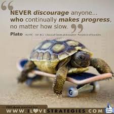 Pin By Dawn Lanier On True That Baby Turtles Cute Animals Turtle