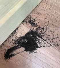 Mum Baffled By Thousands Of Creepy Tiny Black Balls Inside Her Kids Play House So Can You Guess What They Are