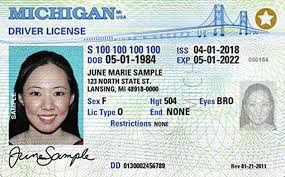 Michigan Driver S License Application And Renewal 2021