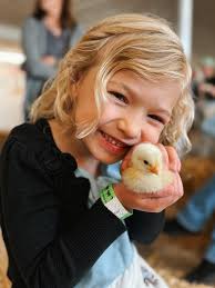 And the WINNER is...Jessie Blyler and her cute cowhand crew! They had 12  VOTES for their cartoon Old West Chili Cookoff photo and receive a free  mini photo session with photographer Sandy