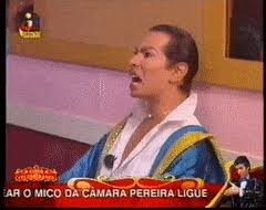Ainda não temos nenhuma foto desse artista, mas você pode colaborar enviando fotos de josé castelo branco. Best Castelo Branco Gifs Gfycat