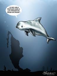 Me tarde mas de 12 hrs en subirlos desde laqs 10 de la noche espero que les guste mucho. Antonio Rodriguez On Twitter Proteccion A La Vaquita Marina Vaquitamarina Peligrodeextincion