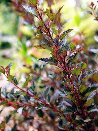 Gardening is any way that humans and nature come together with the intent of creating beauty. Planning Example Flower Garden And Seating Area Interior Design Ideas Ofdesign