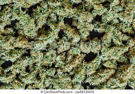 Keep every part of your garden looking smart and fresh throughout the year with our powerful range of outdoor cleaners. Cannabis Textures Background Marijuana Weed Canstock