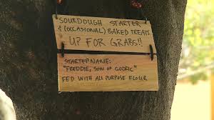 According to pellegrinelli, refrigerated sourdough starter should be covered tightly. Coronavirus San Francisco Neighbors Share Sourdough Starter At Safe Social Distance Amid Shelter In Place Baking Craze Abc7 San Francisco