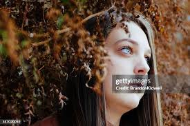 312 Brandon Mull Stock Photos, High-Res Pictures, and Images