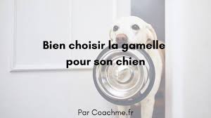 Check spelling or type a new query. Les 9 Criteres Pour Choisir Sa Gamelle Pour Chien