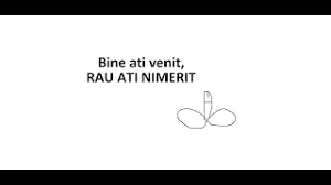 Saracii cubanezi stau ore in sir sub soare sa ajunga de la punctul a la punctul b. Bine Ati Venit Rau Ati Nimerit Live Cu Csgo Youtube
