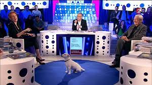 Son chien adeck, bien connu des téléspectateurs, s'est envolé. Le Chien De Christophe Dechavanne Perturbe On N Est Pas Couche Sur France 2 Regardez Video Dailymotion