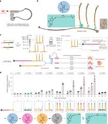 Image result for Modified Apt Test