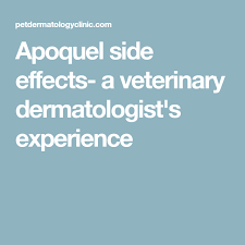 Apoquel Side Effects A Veterinary Dermatologist S Experience Dermatologist Apoquel Veterinary