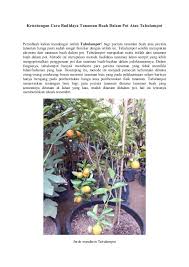 Budidaya tumbuhan hidroponik pun menekankan penumbuhan kebutuhan nutrisi untuk tanaman sayur di dalam pot. Keuntungan Cara Budidaya Tanaman Buah Dalam Pot Atau Tabulampot