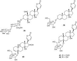 Image result for Mimosa 1989 Tracer