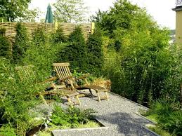 Pin On Gardening