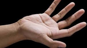 segirmeler ve anlamlari marifetname segirmeler savunma yollari