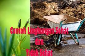600 Gambar Contoh Lingkungan Sehat Terbaru Gambar Id