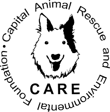 Creating a better world for companion animals and the community through rescue, rehabilitation, education, spay/neuter, and providing resources to underserved populations. Pets For Adoption At Capital Animal Rescue And Environmental Foundation In Rockville Md Petfinder