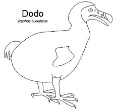 Jpg click the download button to find out the full image of dodo bird coloring pages printable, and download it for a computer. Dodo Bird Outline Coloring Pages Netart