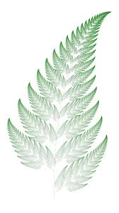 Barnsley's fern is created by the repetitive application of four relatively simple mathematical rules and is a type of fractal, introduced by barnsley 1. Barnsley S Fern I Made In Python It Looks So Natural Mathpics