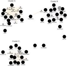 Image result for Xerophyta schlechteri