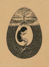 Check spelling or type a new query. Baby In Womb