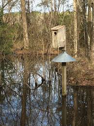 Backyard boys woodworking bbw12 wood duck house. It Takes A Little Work The Sumter Item