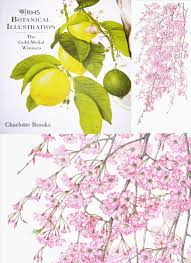 書籍Botanical Illustrationにボタニカルアート・コンテストでゴールドメダルを獲得した「八重紅桜」が掲載されましたJGN創立メンバー 石川美枝子 – Gadenetガデネット