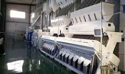Rice sorting machine - WinTone Grain Machinery