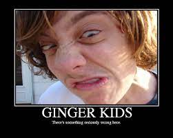 Ginger not only adds some taste to food but is also used as an effective remedy for hair growth. Ginger Hair Jokes