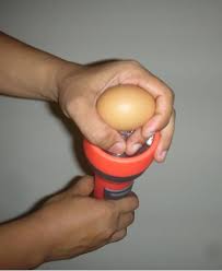 Telur ayam sudah menjadi salah satu kebutuhan pokok manusia. Panduan Pengguna