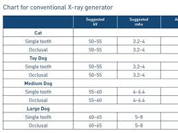 Small Animal Dental Imaging Learning Resources Imv Imaging