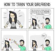 Check spelling or type a new query. Chicken Nuggets Are So Funny Haha Comedycemetery