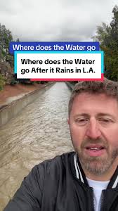 The L.A. River actually looks like, well, a river when it rains in Los  Angeles