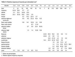 Lower Extremity Spine Neuro Exam Spine Orthobullets