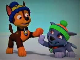 Chase Rocky Paw Patrol Relation Ship Wiki Fandom In 2020 Paw Patrol Rocky Baby Animals Super Cute Paw Patrol