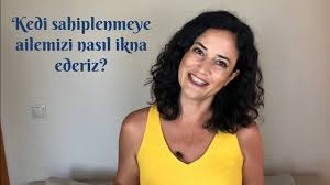 Ailemizi Kedi Sahiplenmeye Ikna Etmenin Garantili Yolu Youtube