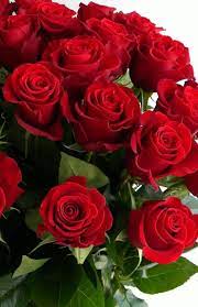 Beautiful rose flower bouquet images hd. Rose Flower Wallpaper Beautiful Rose Flowers Beautiful Flowers Hd Wallpapers