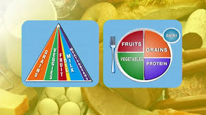 How do you expect the new my pyramid 2010 version to look compared to the others? No More Food Pyramid Nutritional Icon Is Now A Plate Abc News