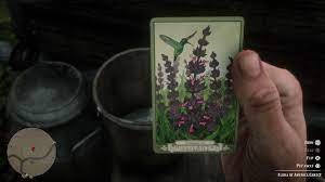 Hummingbird sage can be found in forested areas (like … herbalist challenge #3: Hummingbird Sage Red Dead Redemption 2 Wiki Guide Ign