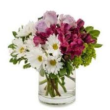 I go back every month and have it cleaned for free and checked. Raspberry From Scott S House Of Flowers In Lawton Ok Flower Delivery Flowers Delivered Florist