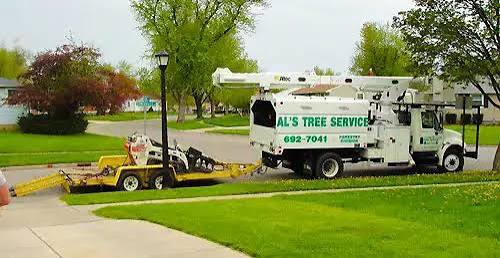 Tree Removal | Buffalo, NY | Tree Service Tonawanda | Firewood Buffalo