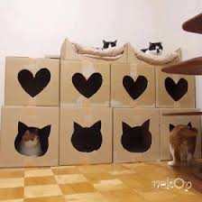Nowacraft Kuyruklu Dostlarimiza Ozel Kendin Yap Ev Kedi Evi Kedi